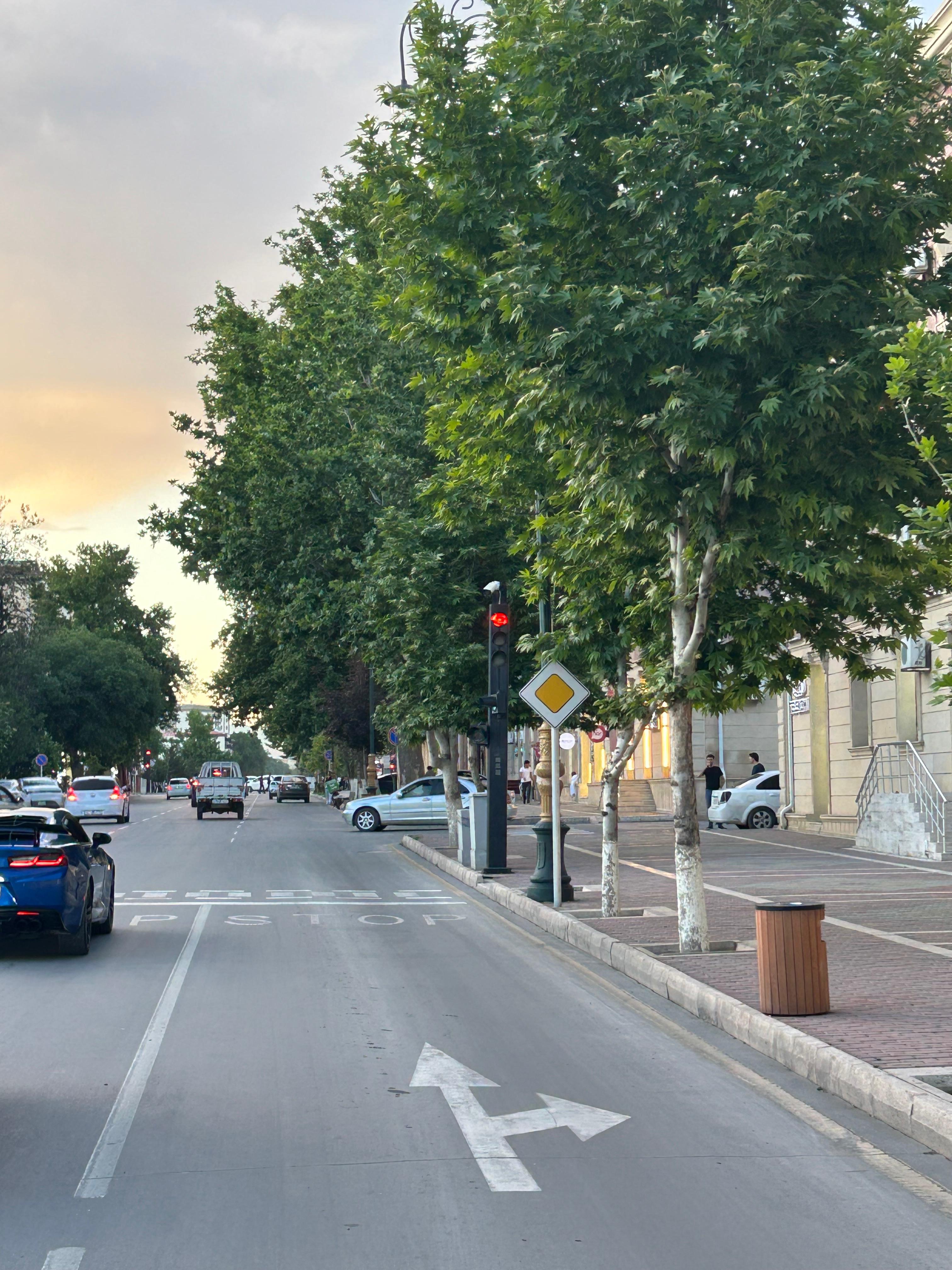 Naxçıvanda yol nişanları yenilənir